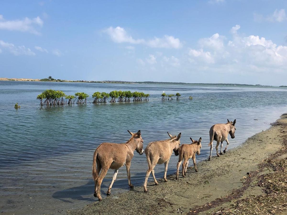 The Blue Lagoon Resort Kalpitiya Esterno foto